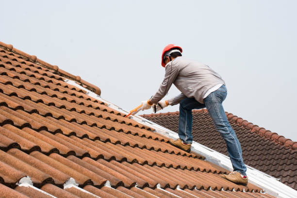 Best Roof Insulation Installation  in Horse Shoe, NC