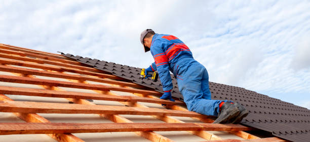 Best Asphalt Shingles Roofing  in Horse Shoe, NC