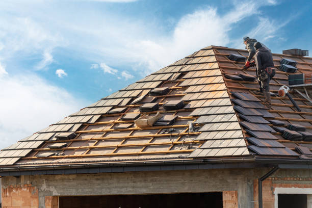 Best Storm Damage Roof Repair  in Horse Shoe, NC